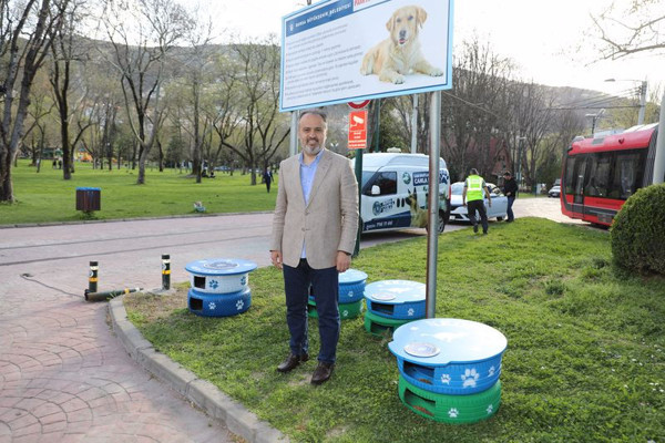 Özel proje başlatıldı! Sokaktan toplanıp dönüştürüldü: Bursa'da doğaya yerleştirildi - Resim: 0