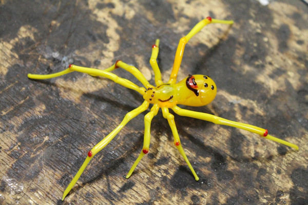 Ömrünüzde bu örümceklerden hiç görmediniz! Hiç bilinmeyen örümcek türleri - Resim: 0