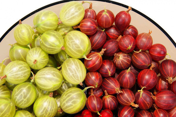 Bunları yapanların saçlarını Rapunzel bile kıskanıyor! En hızlı saç uzatma yöntemleri - Resim: 1