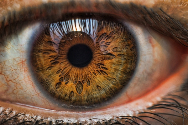 Gözlere bakarak erken ölümü öğrenmek mümkün mü? Şok eden araştırma - Resim: 0