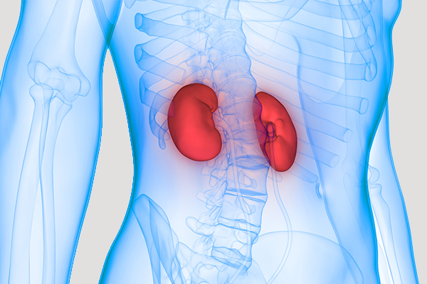 Böbrek kanseri nedir? Böbrek kanseri belirtileri neler, tedavisi nasıl yapılır? - Resim: 0