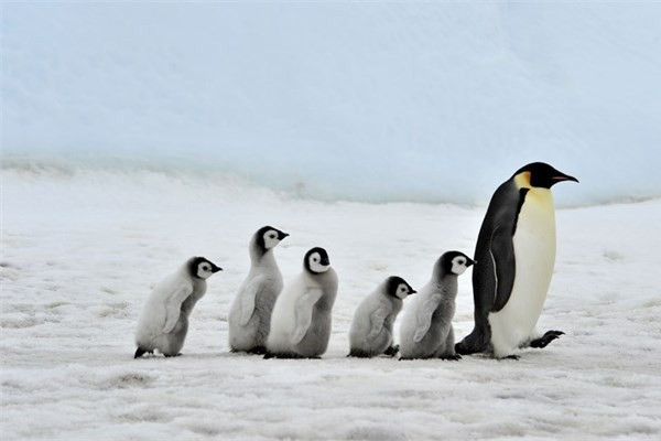 Aralık ayında seyahat için en iyi 10 adres - Resim: 1