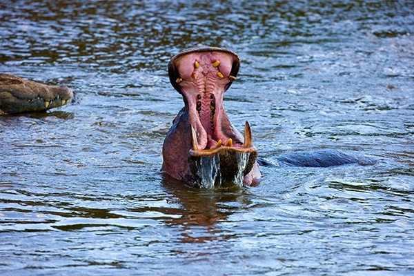 Mustafa Koç'un objektifinden fotoğraflar - Resim: 2