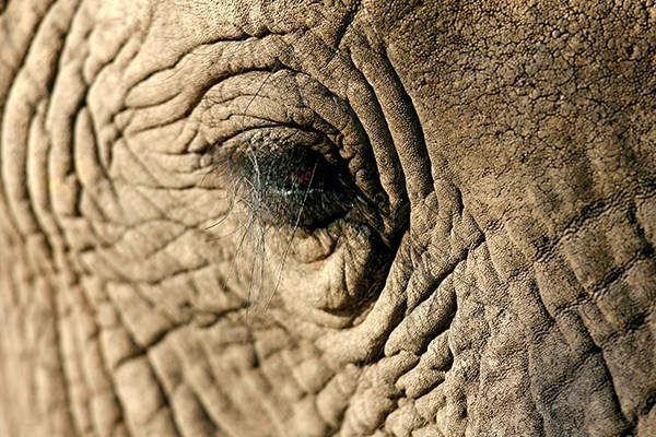 Mustafa Koç'un objektifinden fotoğraflar - Resim: 3