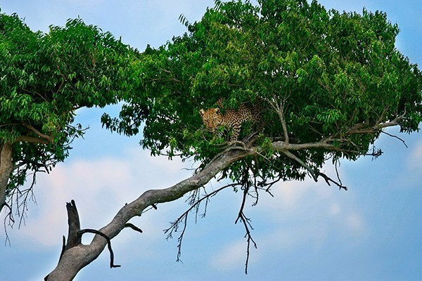 Mustafa Koç'un objektifinden fotoğraflar - Resim: 4