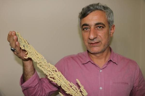 1 kilosu 10 kilo ete eşdeğer! - Resim: 1