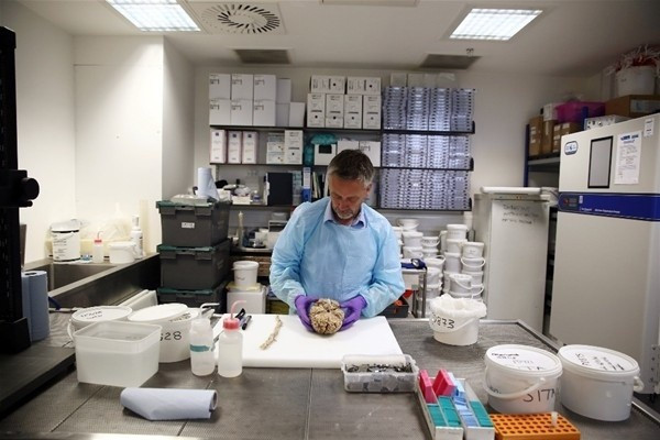 Sperm bankasından sonra şimdi de… Sadece 48 saatiniz var - Resim: 3