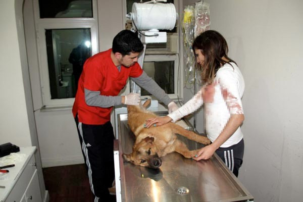 Kucağına alıp 'ne olur ölme' diyerek ağladı - Resim: 2