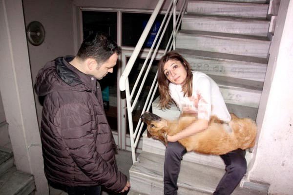 Kucağına alıp 'ne olur ölme' diyerek ağladı - Resim: 3