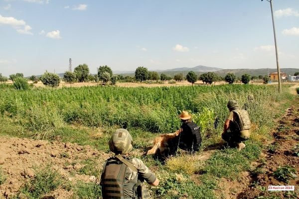 Lice operasyonu PKK 10 ayrı kamu arazisine kurmuş - Resim: 1