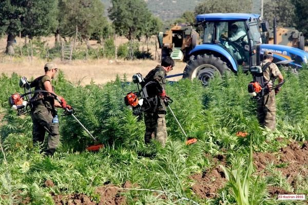 Lice operasyonu PKK 10 ayrı kamu arazisine kurmuş - Resim: 3