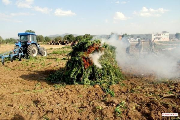Lice operasyonu PKK 10 ayrı kamu arazisine kurmuş - Resim: 4