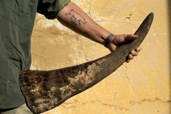 Dünya bunu bekliyordu hepsi birbirinden çarpıcı - Resim: 1