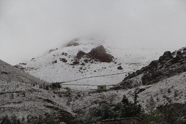 Arabalar, çatılar buza kesti! - Resim: 2