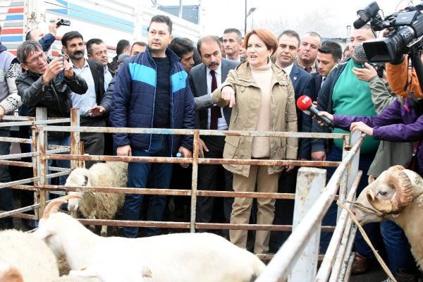 Akşener söz verdi: Bakan seçerken size soracağım - Resim: 1
