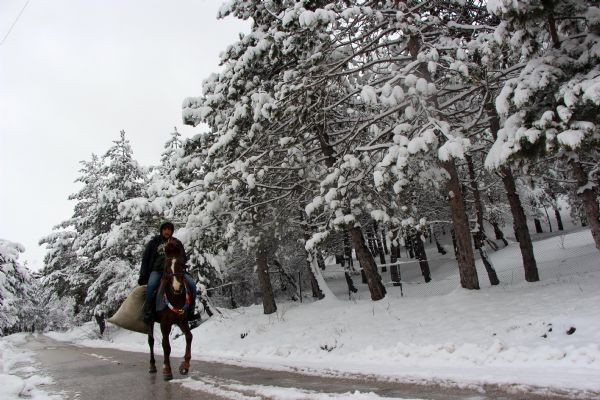 İnanılır gibi değil! Bu kare bugün çekildi - Resim: 3