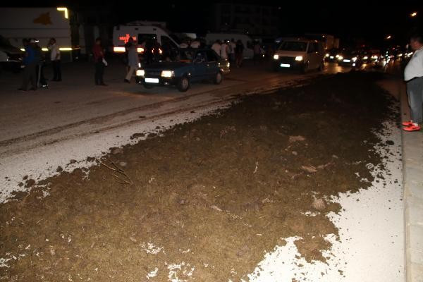 Kemal Kılıçdaroğlu'na şok! Önüne bir kamyon tezek döküp... - Resim: 1