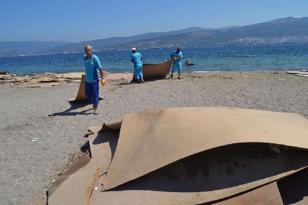 Görülmemiş olay! Gemlik'te denizi suntalar bastı - Resim: 1