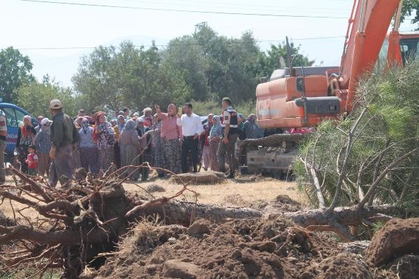 Manisa köylüleri ayaklandı! Ağaçların sökülmesine tepki - Resim: 2