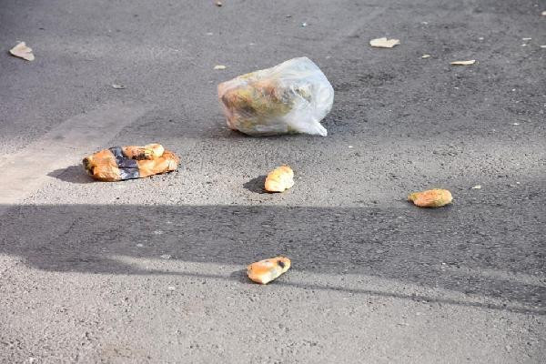 Kuşlara yem vermeye giderken kamyonet çarptı - Resim: 1