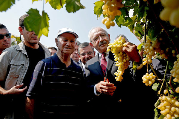 Kılıçdaroğlu 'üzüm mitingi' öncesi üzüm kesti - Resim: 2