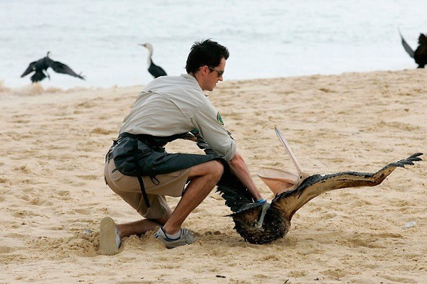 Simpsons'ın  '5 sene  içinde olacak' kehanetleri - Resim: 4