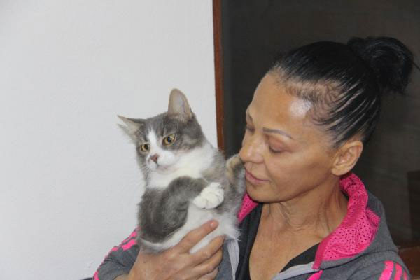 Kedileri yüzünden genelevden kovuldu! Şimdi de rahat yok... - Resim: 1