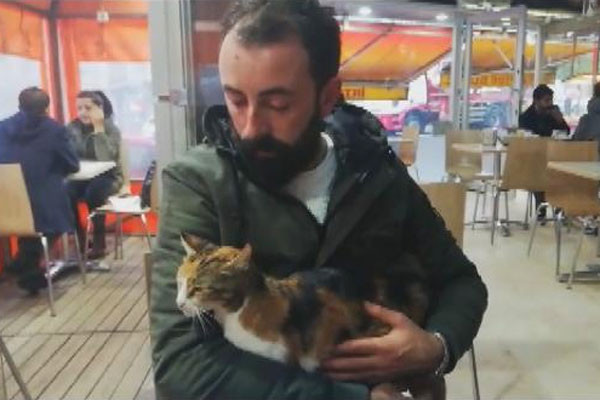 Sultangazi'de kedilere yönelik vahşet büyü yapmak için kuyruklarını kesiyorlar - Resim: 4