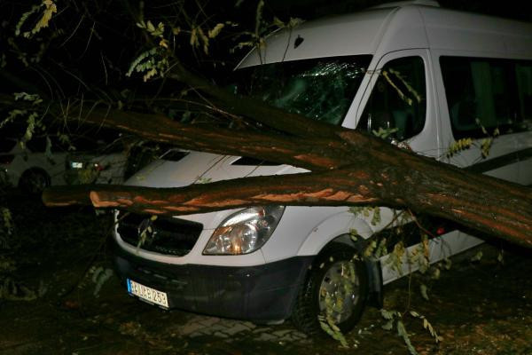 İstanbul'u fırtına ve yağış vurdu! Ağaç minibüsün üzerine devrildi - Resim: 2