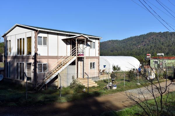 Mankenliği bırakan Yazgülü Amaj yeni işinde paraya para demiyor - Resim: 2