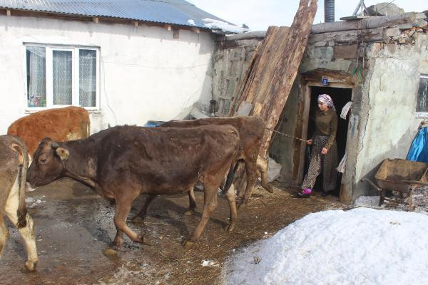 Çobanlık yaparak Avrupa'yı sallamaya hazırlanıyor! - Resim: 2