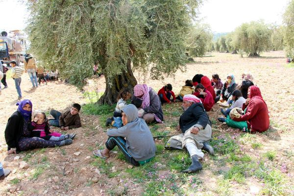 Afrin'den kaçanlar zeytinliklere sığındı... - Resim: 1