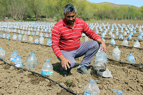 Hurdacıdan aldığı 3 bin pet şişeyle sera yaptı! - Resim: 4