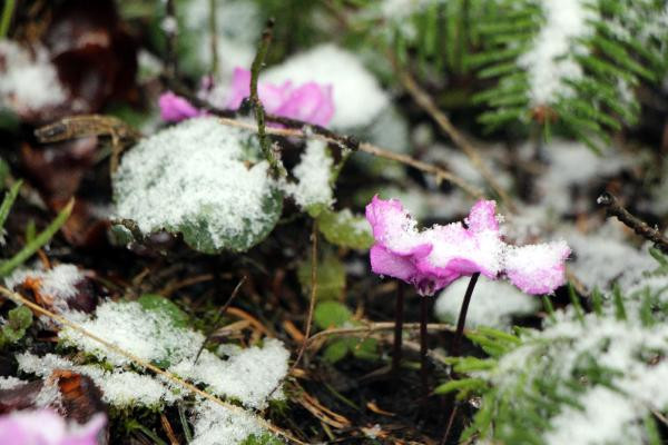 İstanbul'un hemen yanı başı! Şu anda kar yağıyor... - Resim: 2