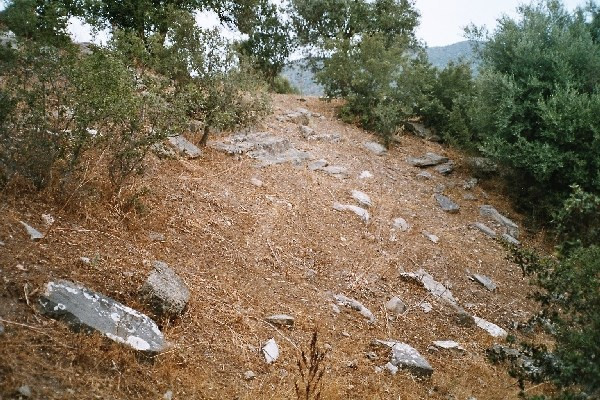 Onu tam 35 milyon liraya satışa çıkardılar gören şok oldu! - Resim: 2