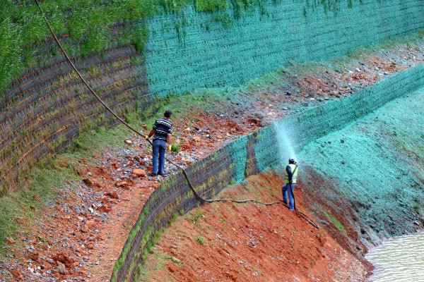 Bakan Soylu görünce 'yıkın' demişti son hali inanılmaz! - Resim: 4