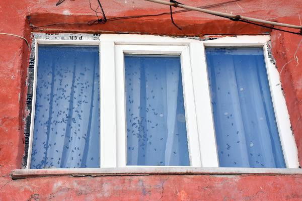 Büyük panik: Sabah uyandı gözlerine inanamadı! - Resim: 2