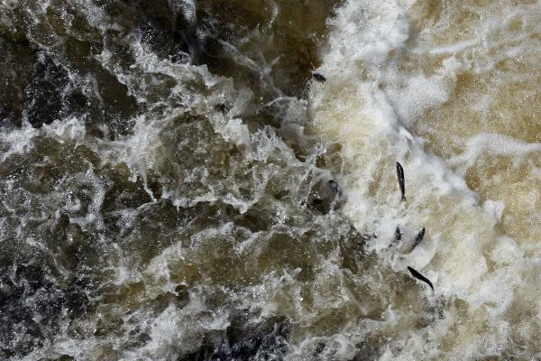 Bu görüntüler Van'dan: Nefes kesen yolculuk! - Resim: 3