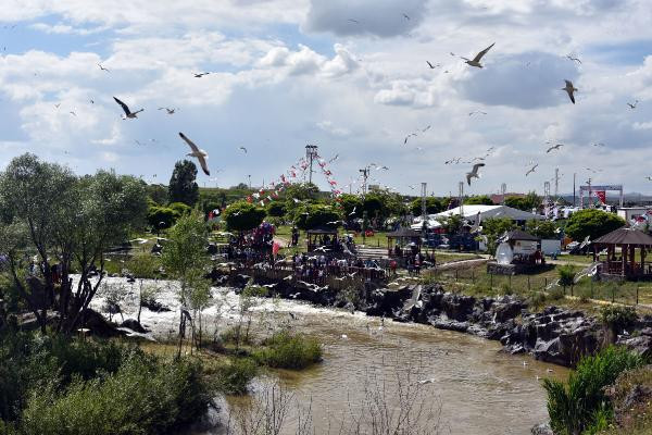 Bu görüntüler Van'dan: Nefes kesen yolculuk! - Resim: 4