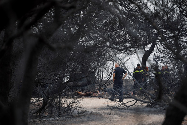 Ölümden böyle kaçtılar: Dünyayı şoke eden görüntüler! - Resim: 4