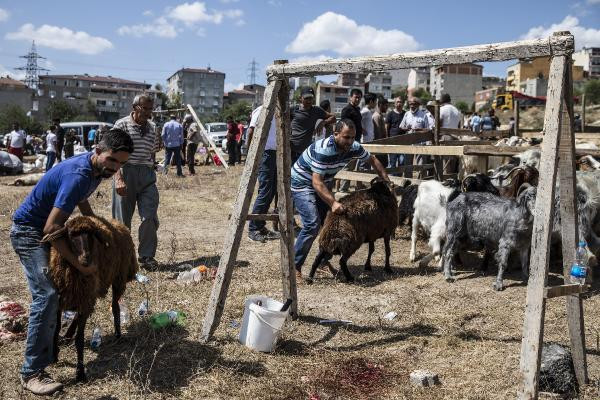 Yasak dinlemediler! Kurban Bayram'ında utandıran görüntü - Resim: 2