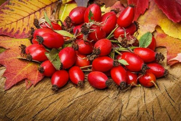 Kuşburnu 'c vitamini'nin en zengini! Bununla da bitmiyor... - Resim: 2