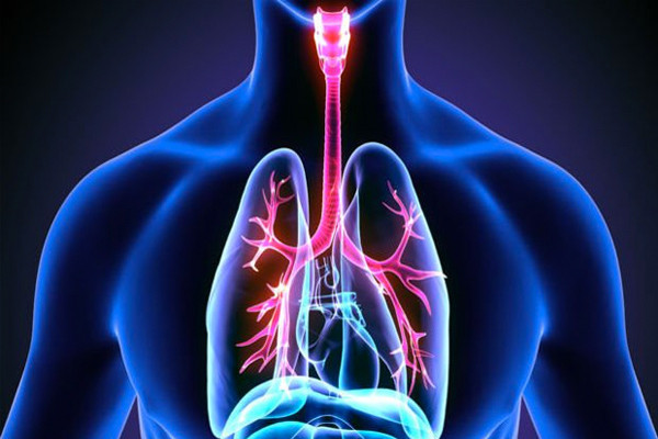 Bu 7 davranış akciğerinizi bitiriyor! - Resim: 1