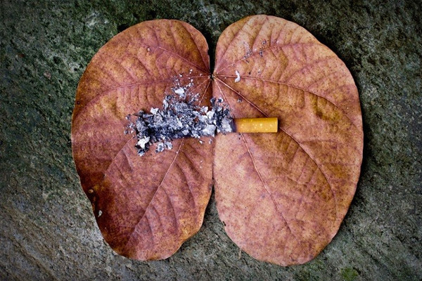 Bu 7 davranış akciğerinizi bitiriyor! - Resim: 4