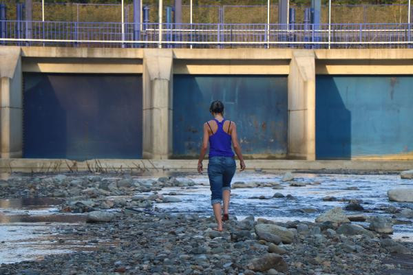 Bir tanesi daha kurudu her geçen yıl sayısı artıyor! - Resim: 3