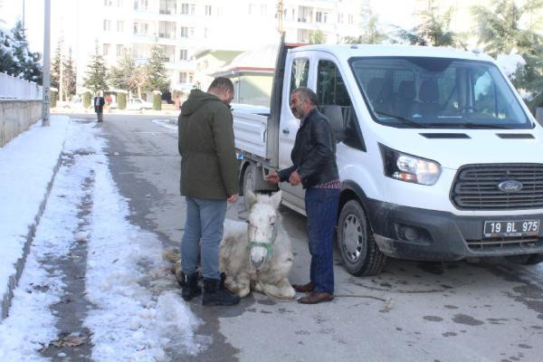 Çorum'da şoke eden olay! 'Artık istemiyorum' dedi ve... - Resim: 3