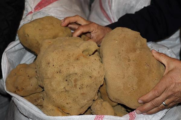 Yeniden başladı: Çuval çuval gönderiyorlar! - Resim: 4