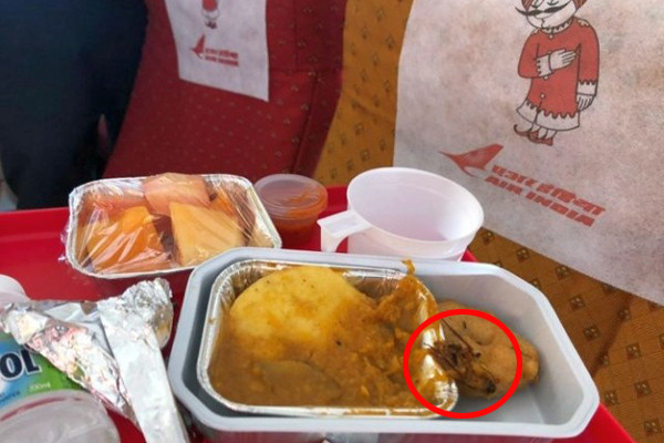 Uçak yemeğinde mide bulandıran olay  - Resim: 1