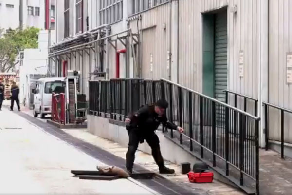 Önce patates sanıldı ardından imha edildi! İşin aslını duyanlar şoke oldu - Resim: 3