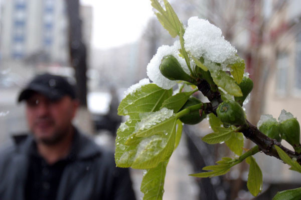Anadolu'da Nisan karı - Resim: 4